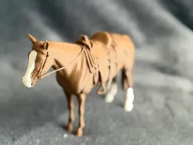 Western horse