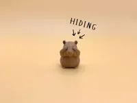 Hiding - 0.16mm layer, 2 walls, 15% infill