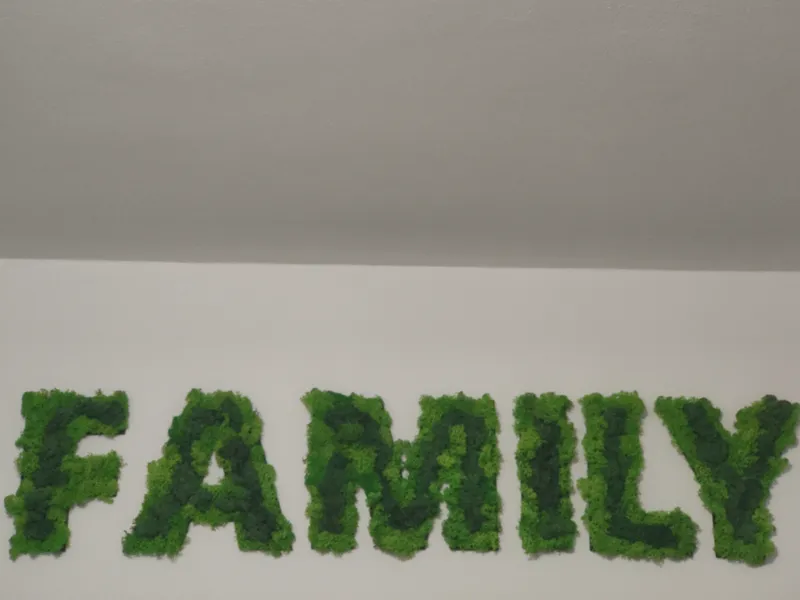 FAMILY 3D Wall Letters – DIY Moss Wall Art