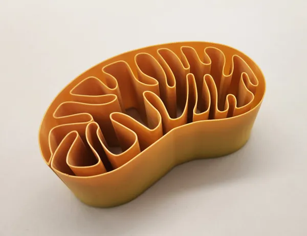 Vase spirale "Mitochondrie"