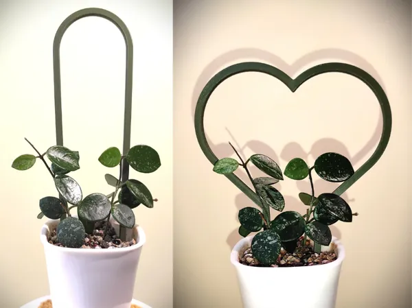 https://makerworld.bblmw.com/makerworld/model/US8a4013e953893e/design/1c4d064bcfbe0d0f.png