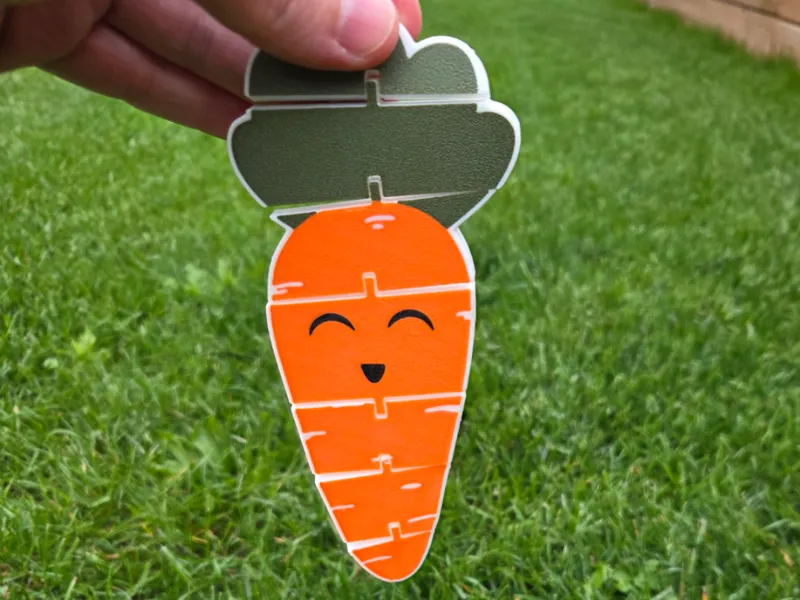 Cute flexible carrot