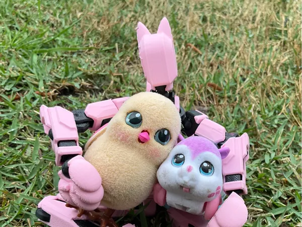 https://makerworld.bblmw.com/makerworld/model/US8a430b23bf9d84/design/2025-03-30_1f7e654bfd043.jpg