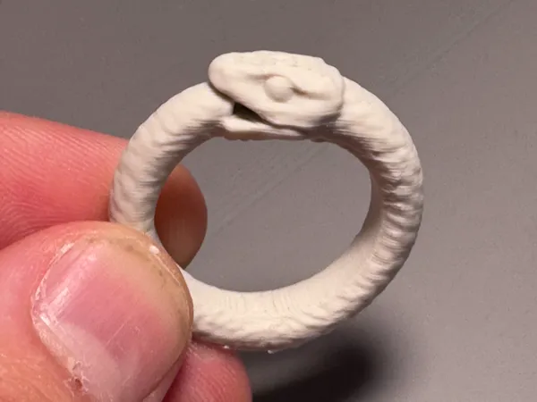https://makerworld.bblmw.com/makerworld/model/US8a46cc04c5b8d1/design/2025-06-10_b25e8b23d993b8.jpg