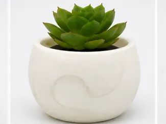 Modern Flowerpod 