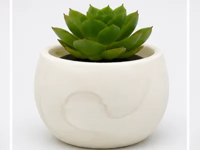 Modern Flowerpod 