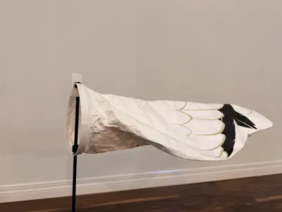 Sock decoy holder