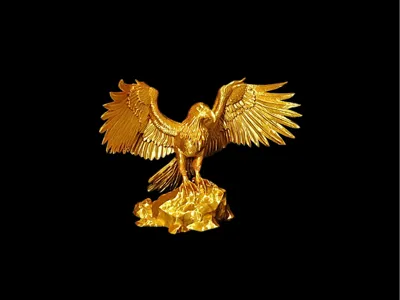 Eagle on Rocks