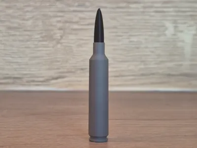 .25 Weatherby RPM