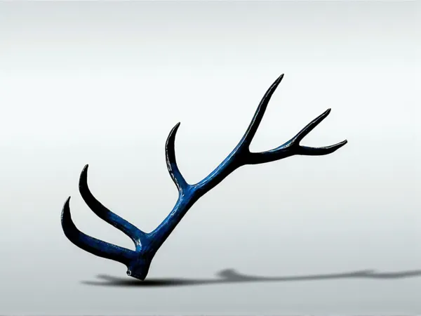 https://makerworld.bblmw.com/makerworld/model/US8a50e213e9257a/design/2025-09-07_3b0d90da5def58.png