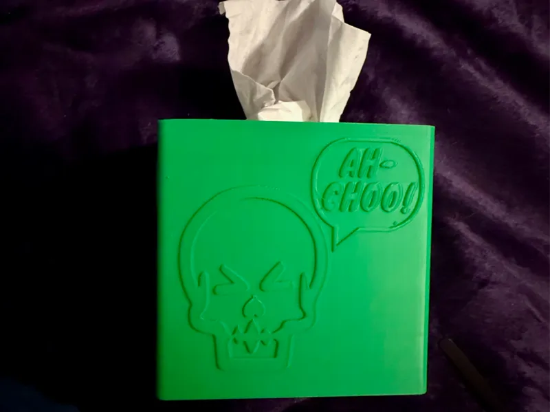 Bless Your Boney lil Head Tissue Box Cover