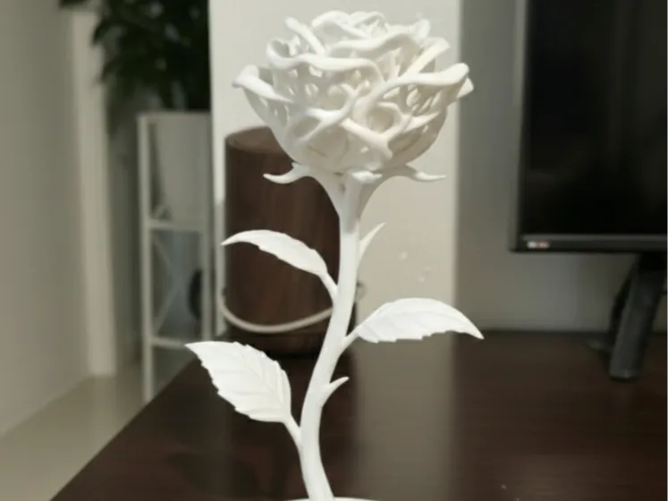 Elegant Voronoi Rose