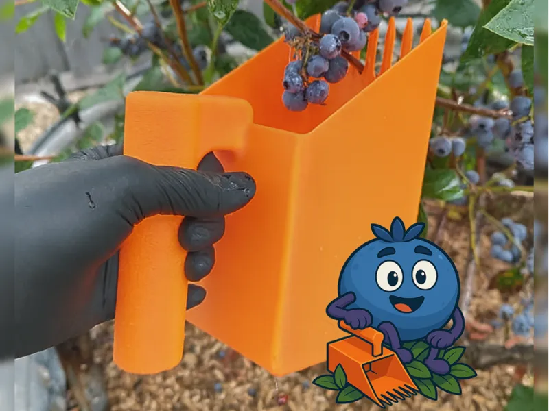 Berry Scoop - Blueberry Rake V2