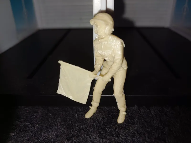 Slot Car Flag Marshal