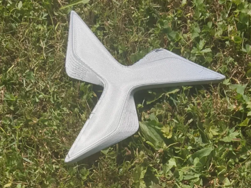 frisbee boomerang