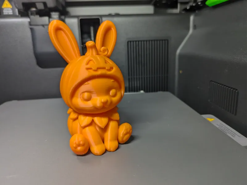 Cute "Pumpkin" Bunny