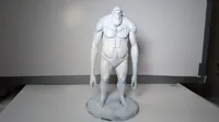 0.16mm layer, 2 walls, 15% infill