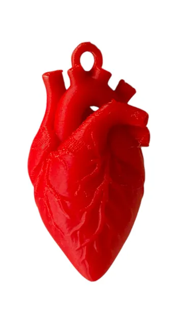 Dije o accesorio de collar: Anatomical Heart Pendant — vista de referencia 3