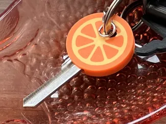 Key Cover - Fruit Serie - Orange and citrus