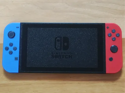 Nintendo Switch Game Case