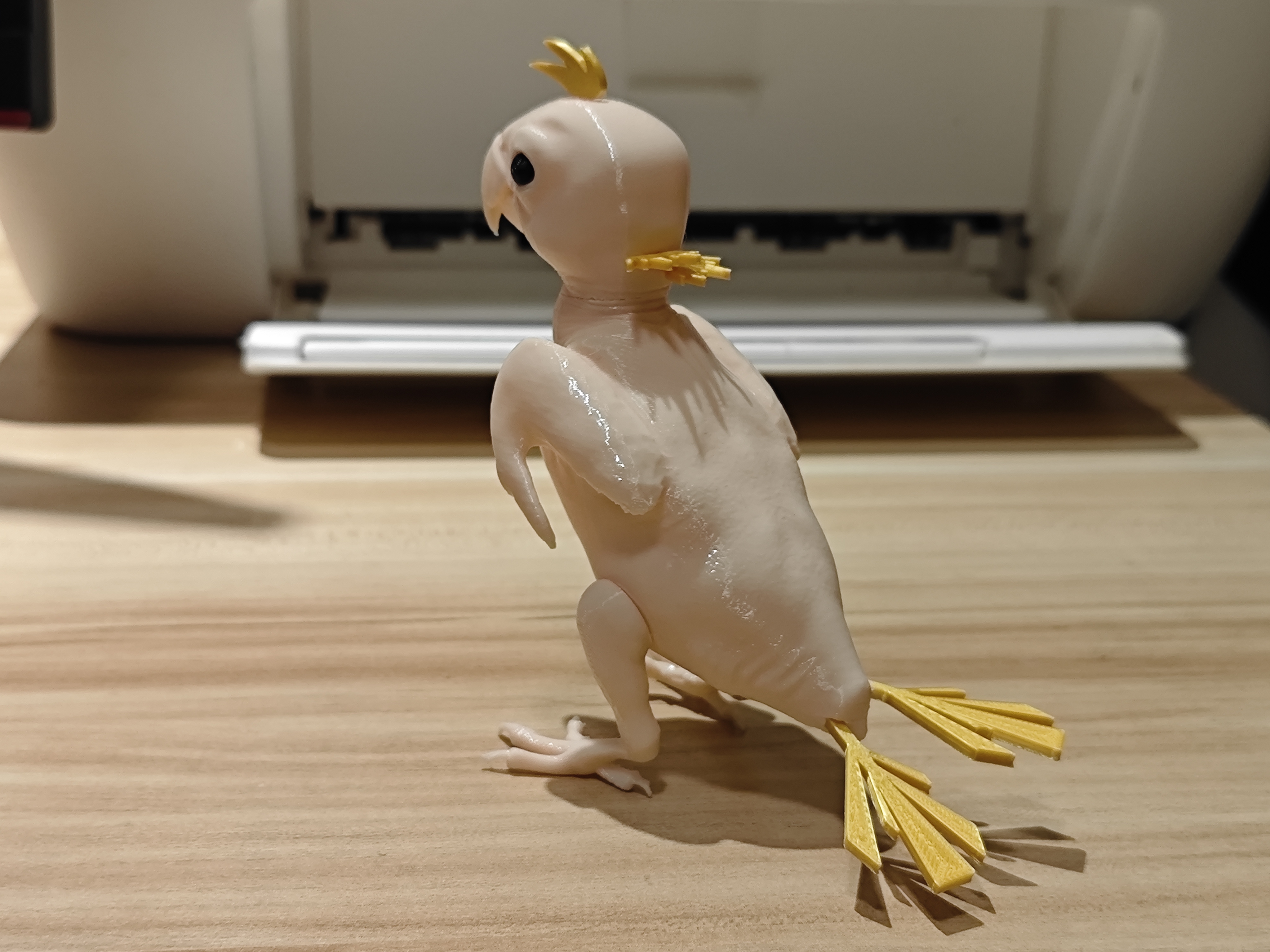 Miniatura 2 do modelo 3D 无毛鹦鹉 网红 掉毛鹦鹉  可拔毛 关节可活动