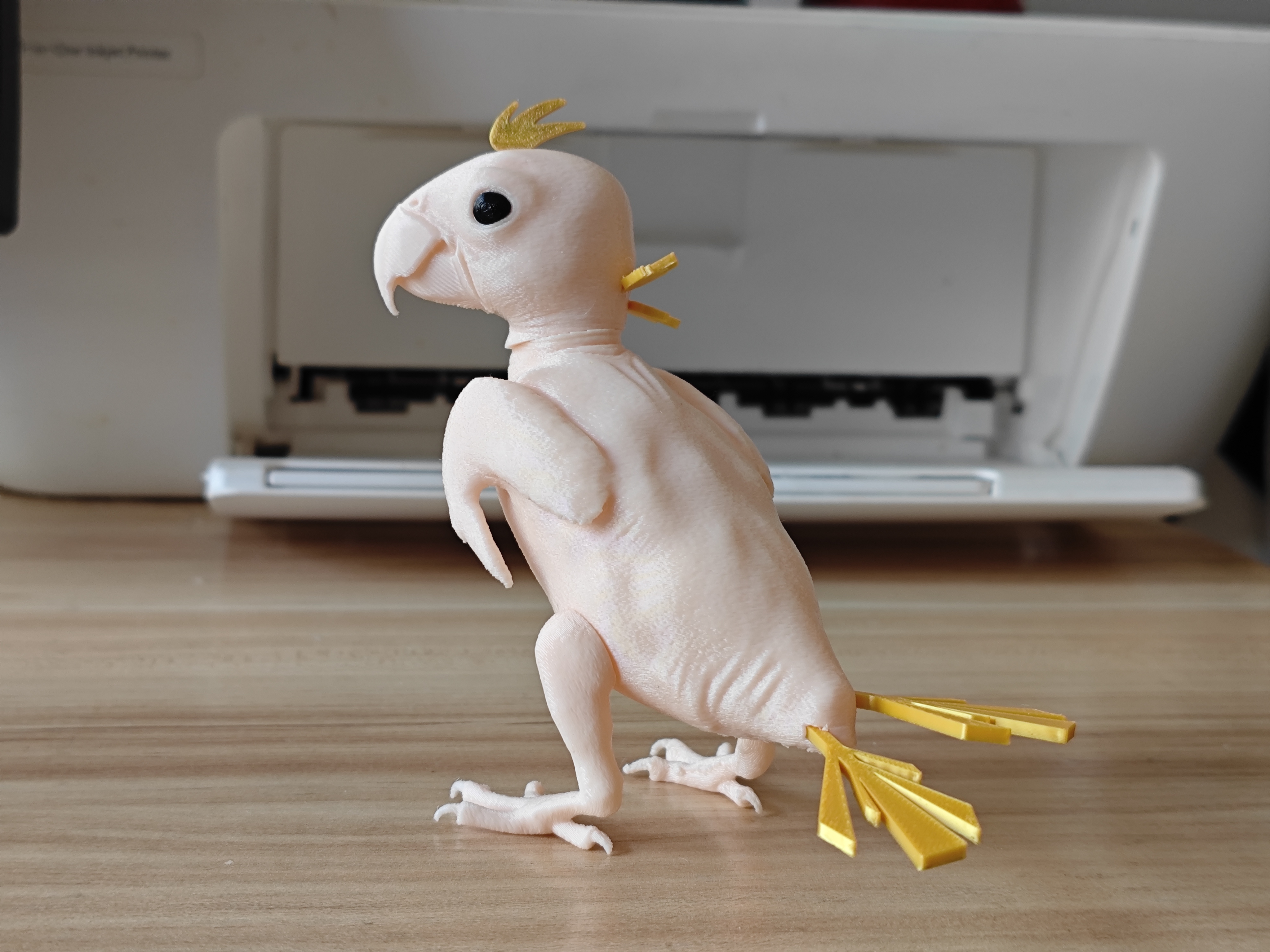Miniatura 1 do modelo 3D 无毛鹦鹉 网红 掉毛鹦鹉  可拔毛 关节可活动