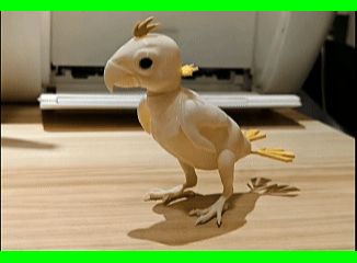 无毛鹦鹉 网红 掉毛鹦鹉  可拔毛 关节可活动