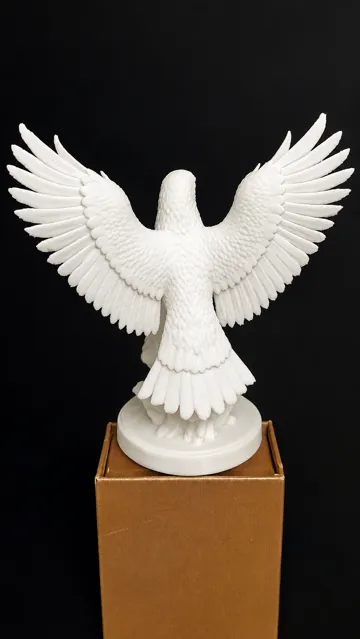 Letrero o emblema decorativo: Bald Eagle on Rock — vista de referencia 4
