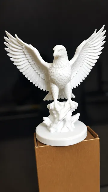 Letrero o emblema decorativo: Bald Eagle on Rock — vista de referencia 3
