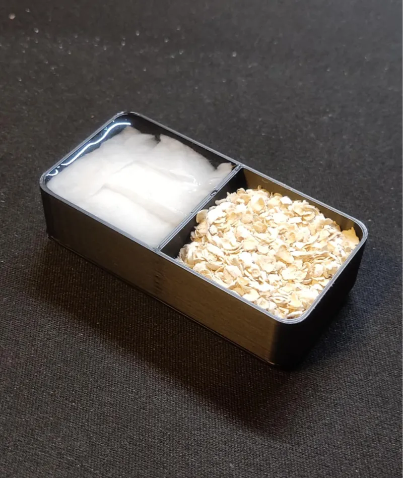 Live feeders insects small container.