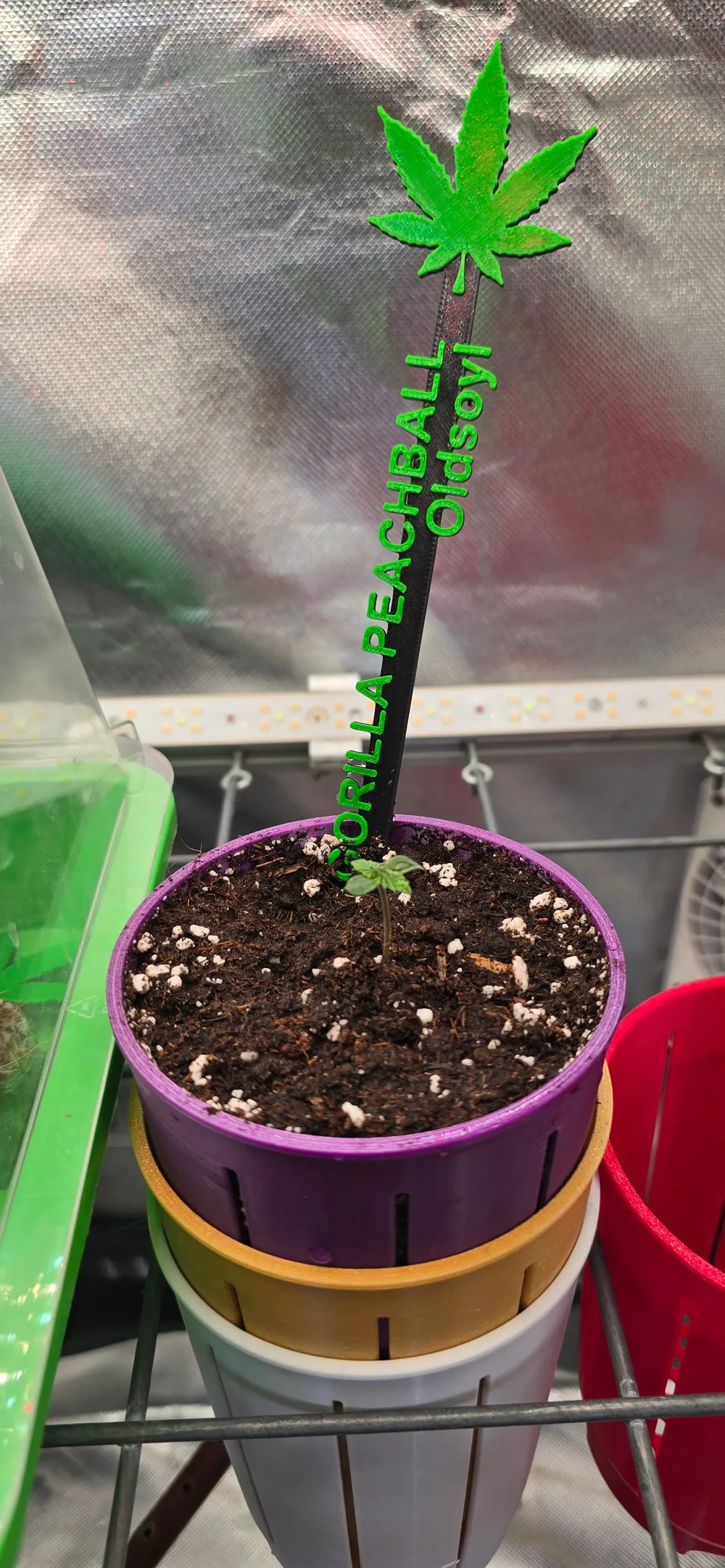 Cannabis Label Stick - Parametric - Free 3D Print Model - MakerWorld