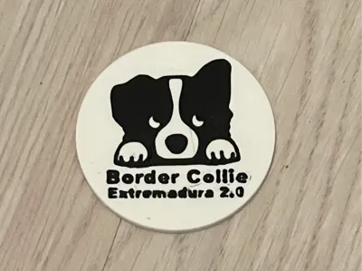 Iman Border Collie Extremadura 2.0