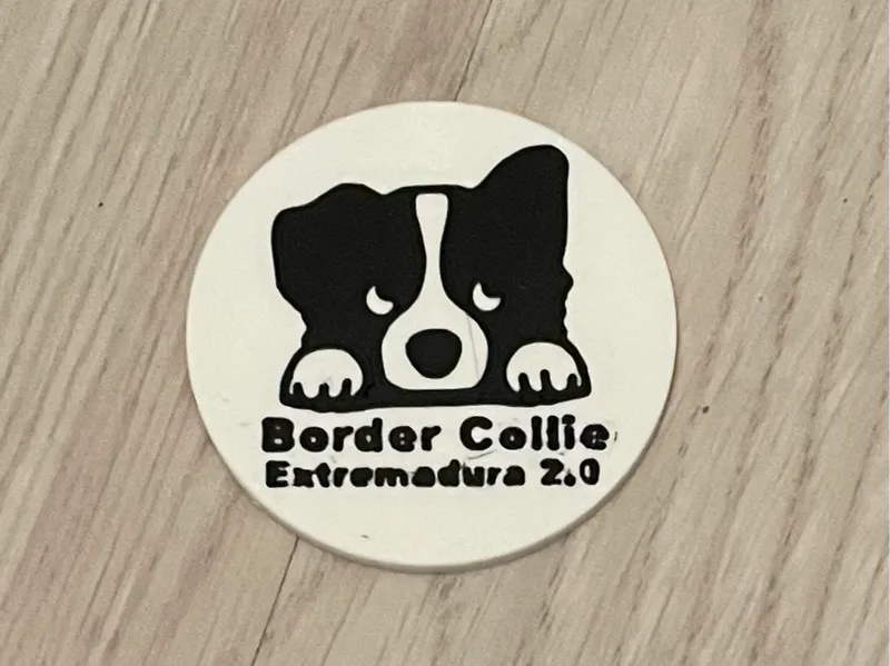 Iman Border Collie Extremadura 2.0