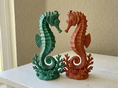 Elegant Seahorse on Coral Reef