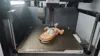Scaled to 70%, optimized less plates, less waste