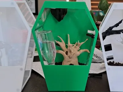 Coffin enclosure for spiders, remixed bas