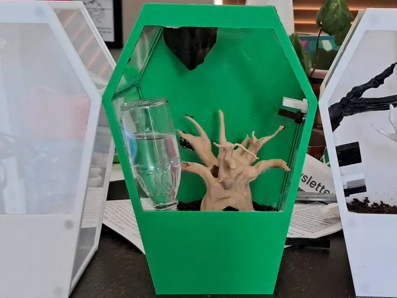 Coffin enclosure for spiders, remixed bas