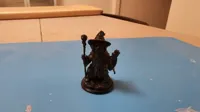 Labrador magicien — photo 2