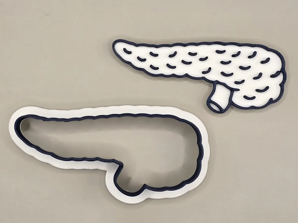 Pancreas Cutter Cookie Anatomy Stamp - Free 3D Print Model - MakerWorld