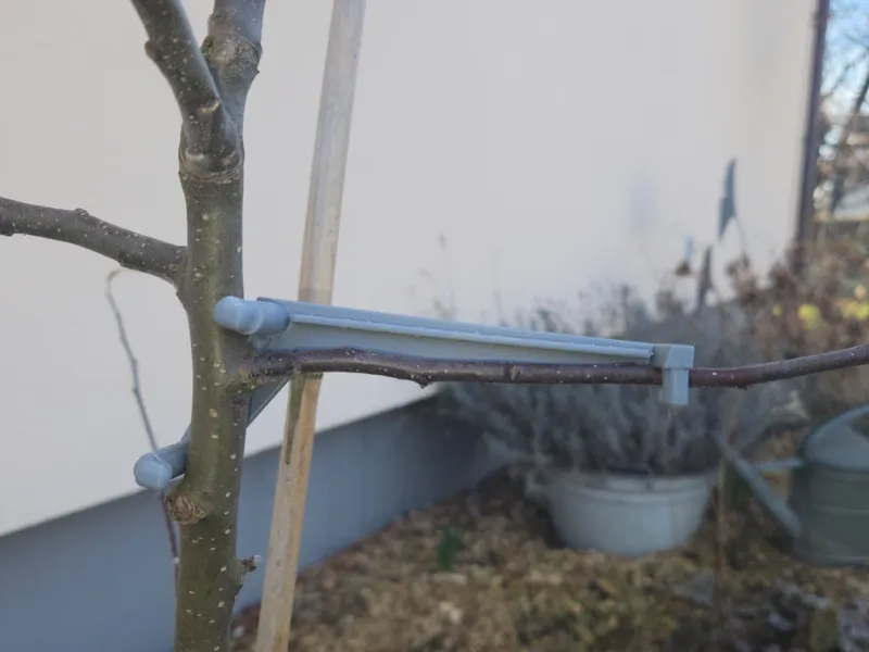 V1 - Formierhilfe Obstjungbaum 