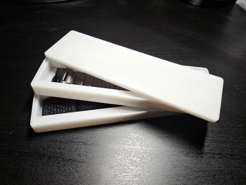 Watch Strap Case