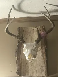 smaller version