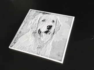 AMS-less Coaster V2.0 - Golden Retriever