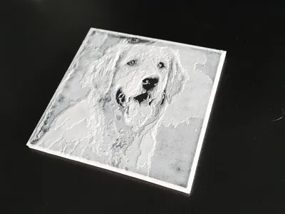 AMS-less Coaster V2.0 - Golden Retriever