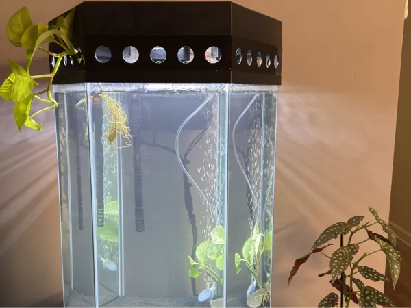 https://makerworld.bblmw.com/makerworld/model/US8aa519c4a18595/design/2025-11-09_3417f77082e5d8.jpg