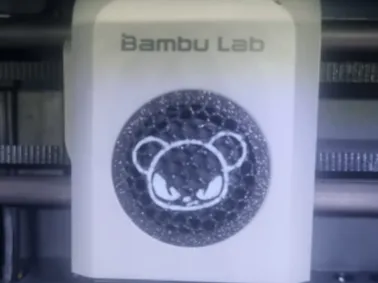 https://makerworld.bblmw.com/makerworld/model/US8aa93b03a7dc88/design/2025-01-25_ffd4dff2c9d09.png