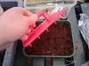 Expert Tomato Prober - High-Strength (Single Plate)