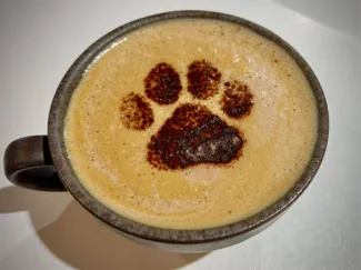 Dog Paw Drink Stencil