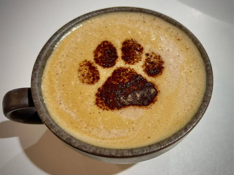 Dog Paw Drink Stencil
