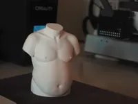0.12mm layer, 2 walls, 5% infill